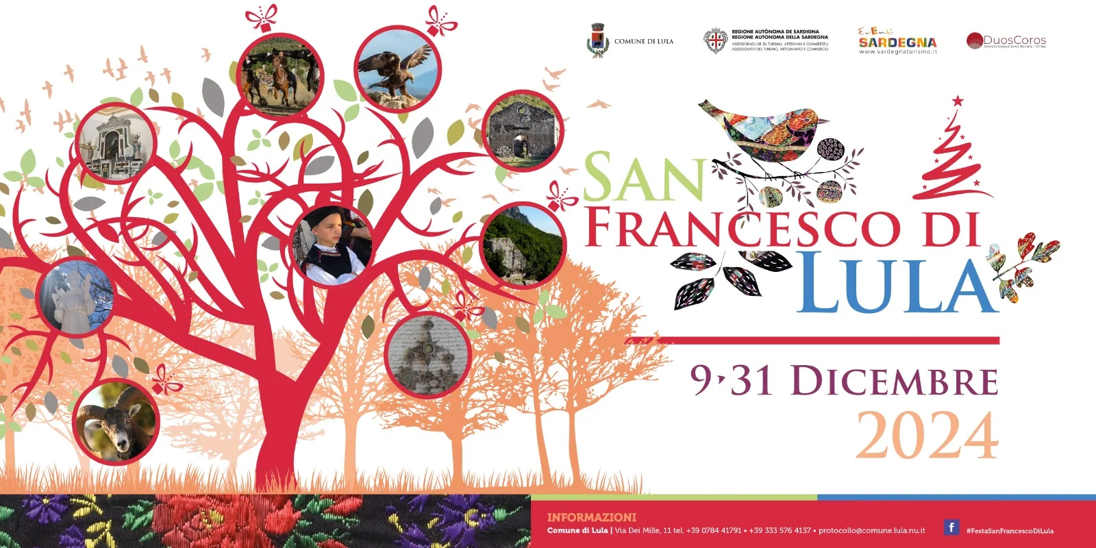 Grandi eventi: san   francesco - programma dicembre 2024